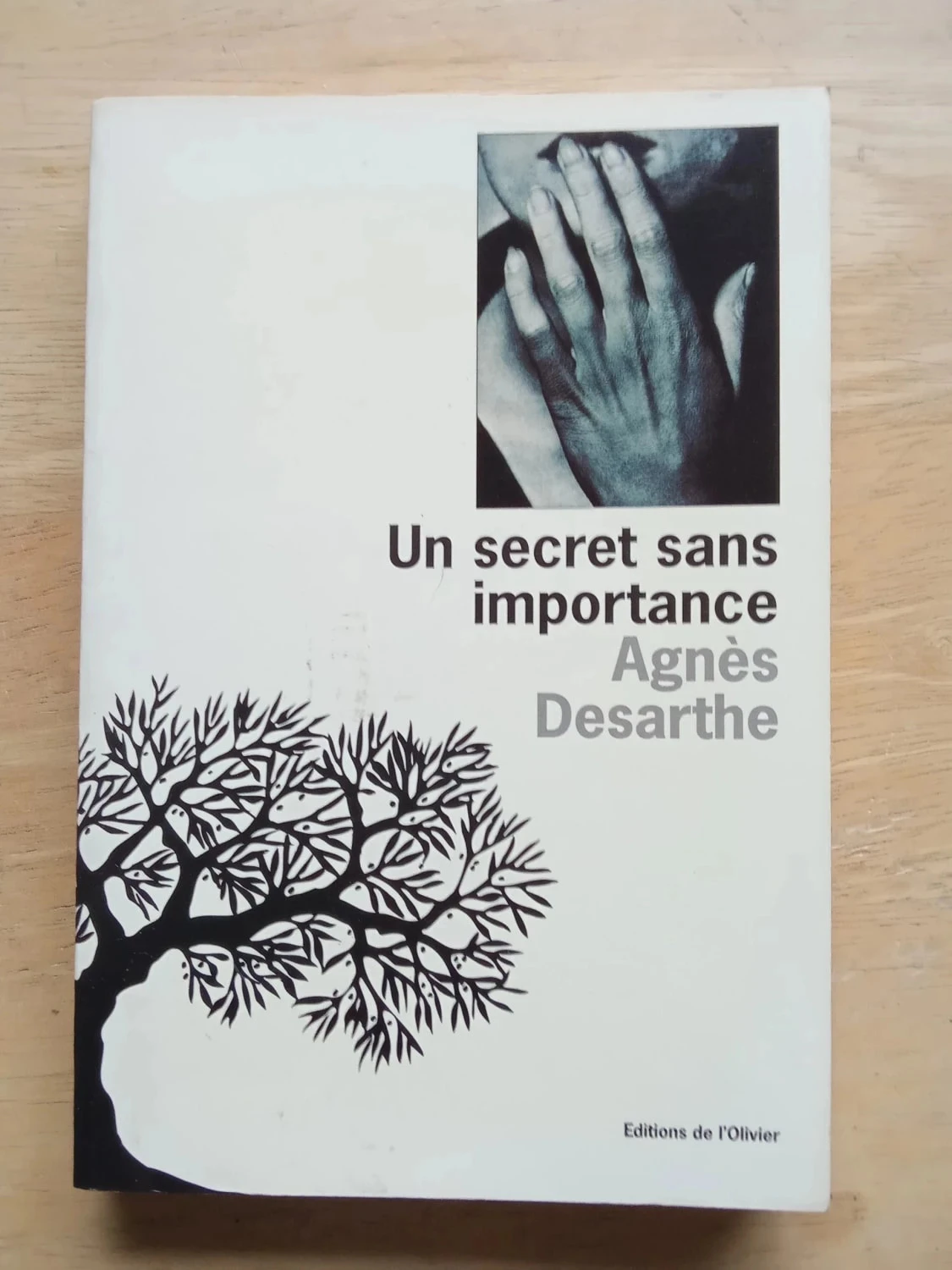 Un secret sans importance, par Agnès Desarthe